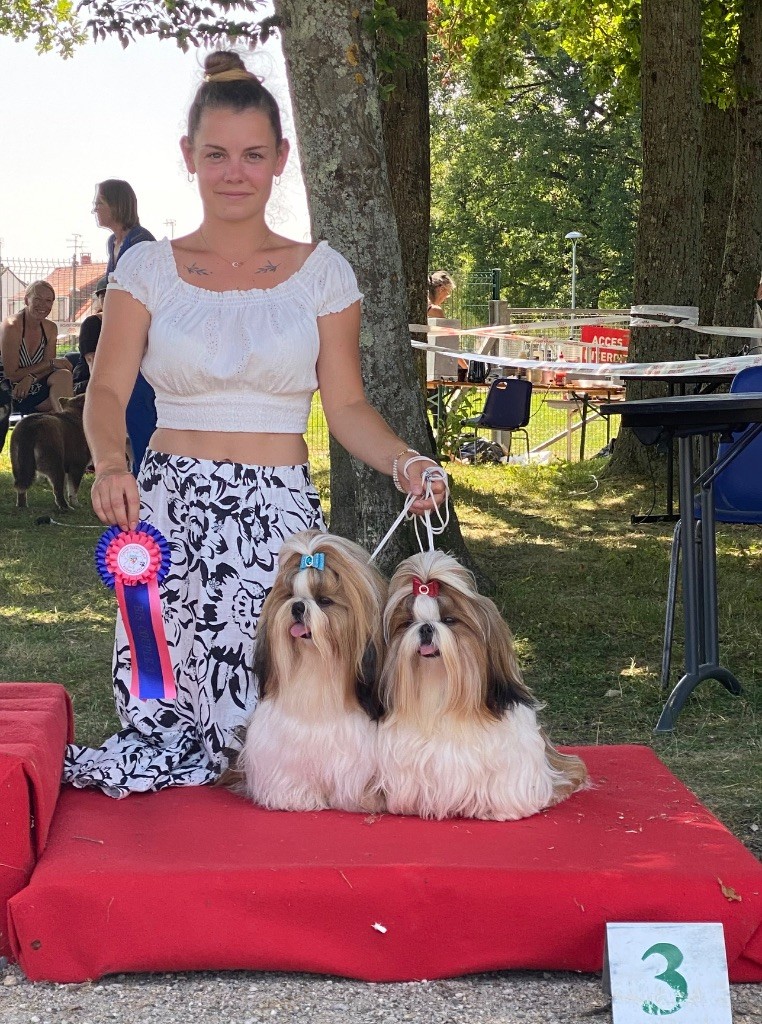 Vénézia et Stark à l'expo de Péronnas