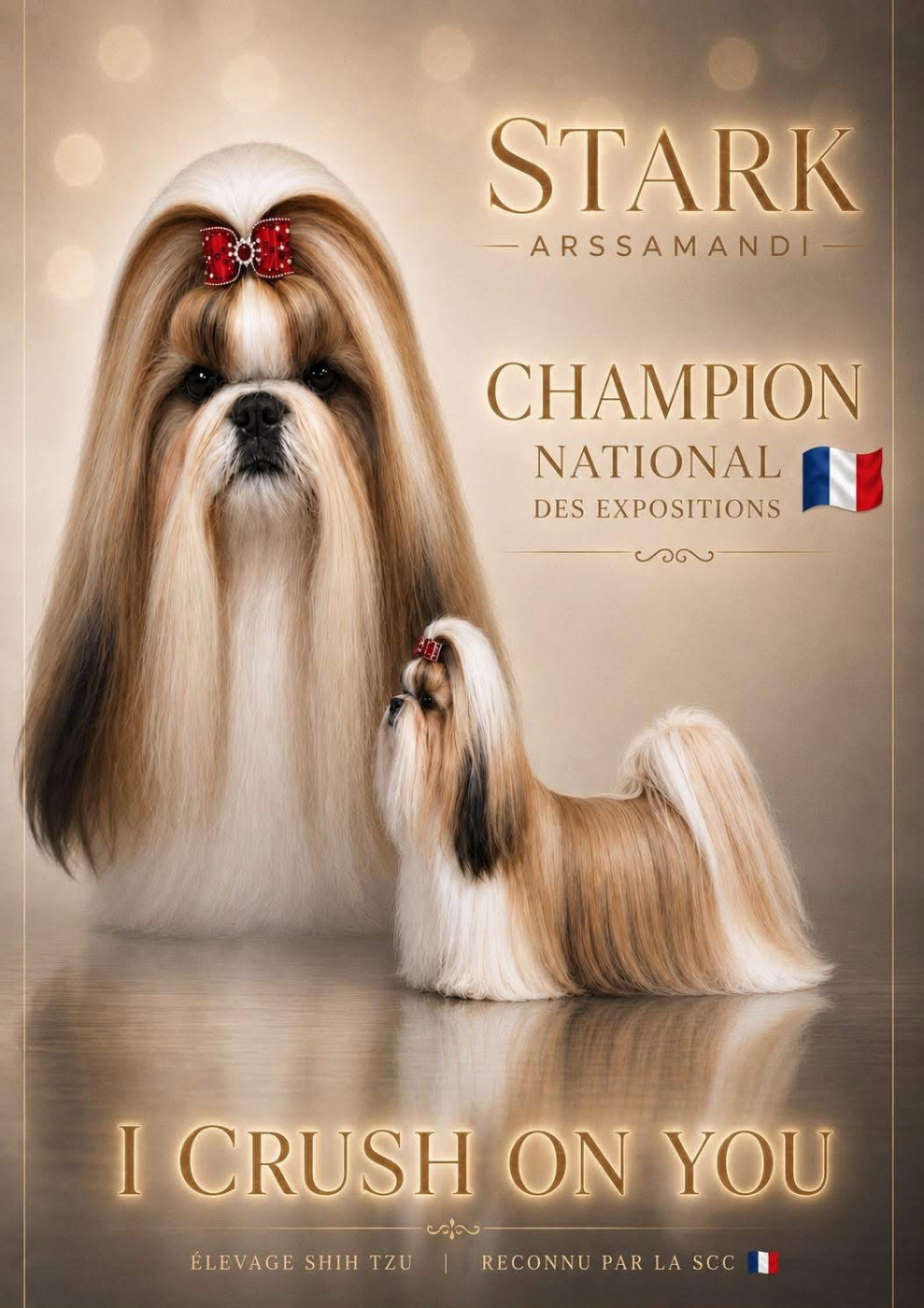 STARK CHAMPION NATIONAL des Expositions