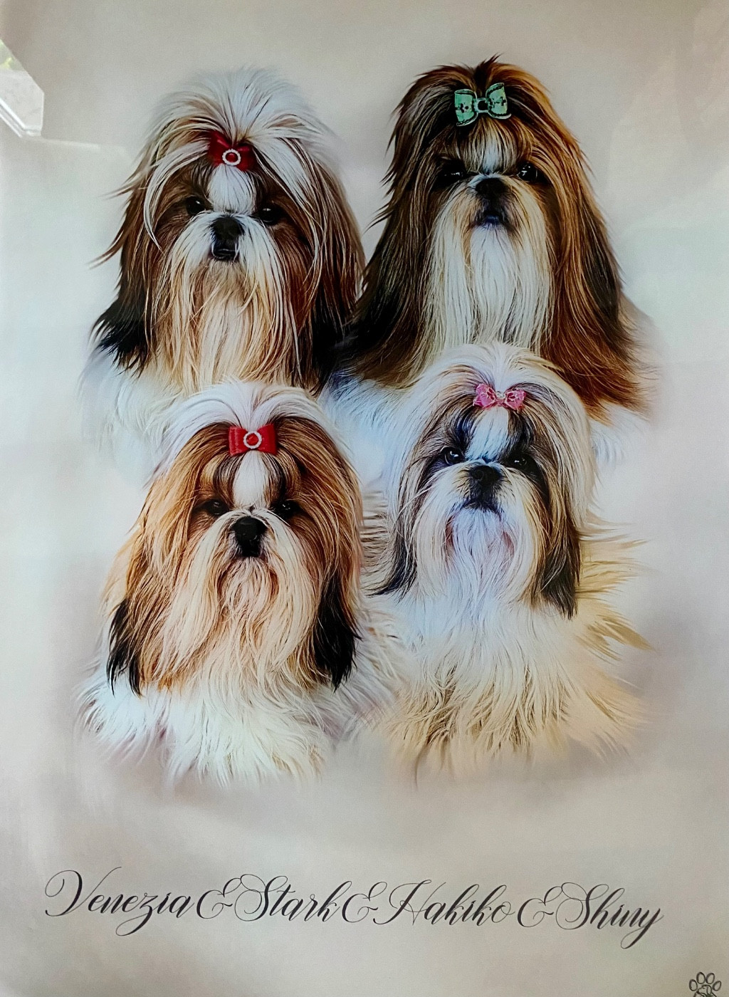 portraits de famille ...